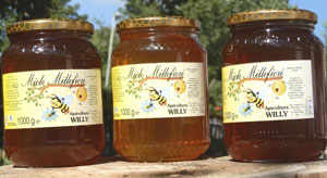Alcuni prodotti dell'apicoltura Willy