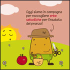 Le piante officinali sono belle e buone
