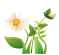 aziende produttrici di piante e fiori della spesa in campagna emilia romagna